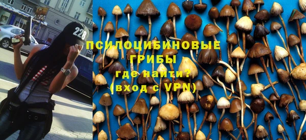 2c-b Гусев