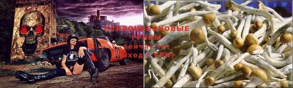 каннабис Гусиноозёрск