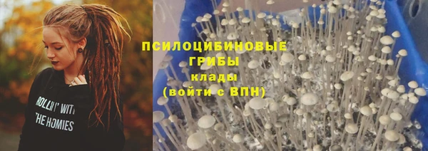трава Гусь-Хрустальный