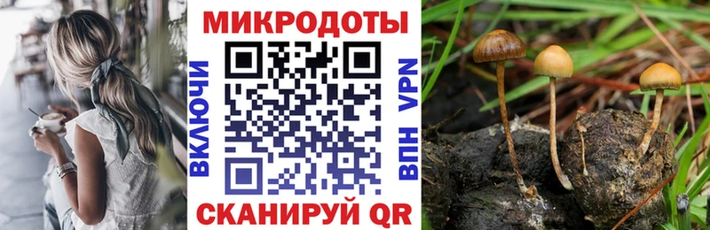 Псилоцибиновые грибы Cubensis  нарко площадка как зайти  Тамбов 